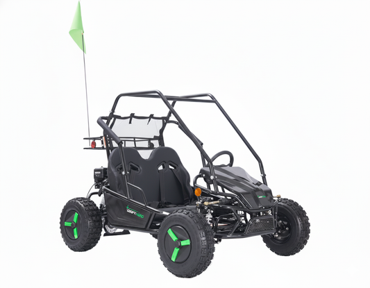Gas Go-Kart (2 Seat)